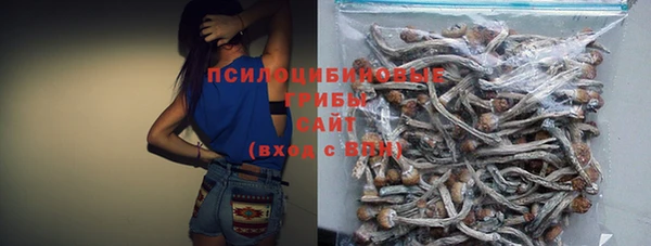дурь Алзамай