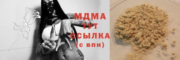 хмурый Алексин