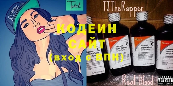 хмурый Алексин
