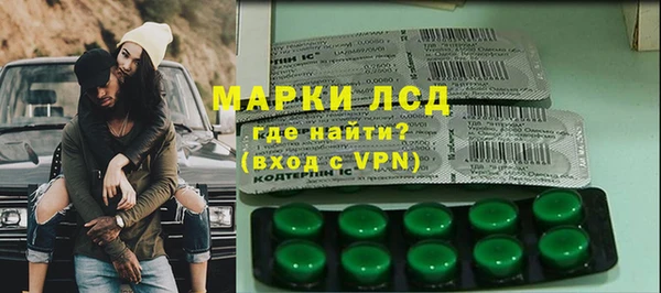 хмурый Алексин