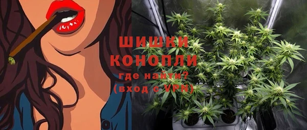 трава Сатка
