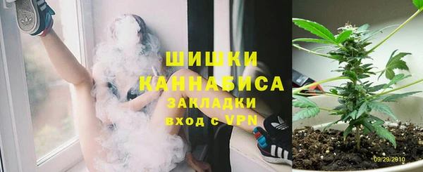 дурь Алзамай