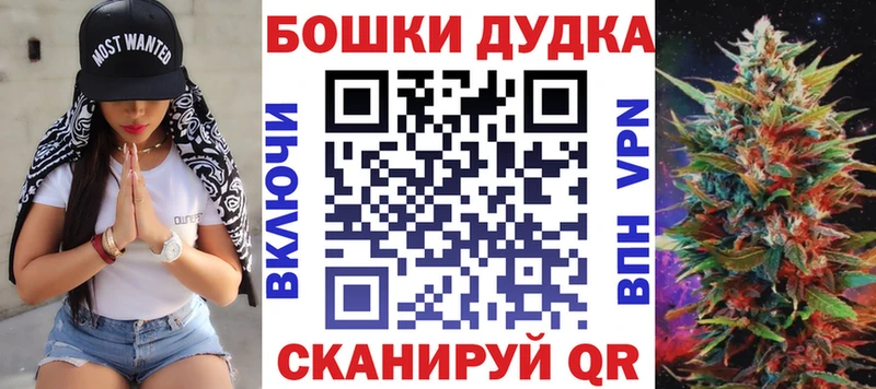 Конопля сатива Ардон